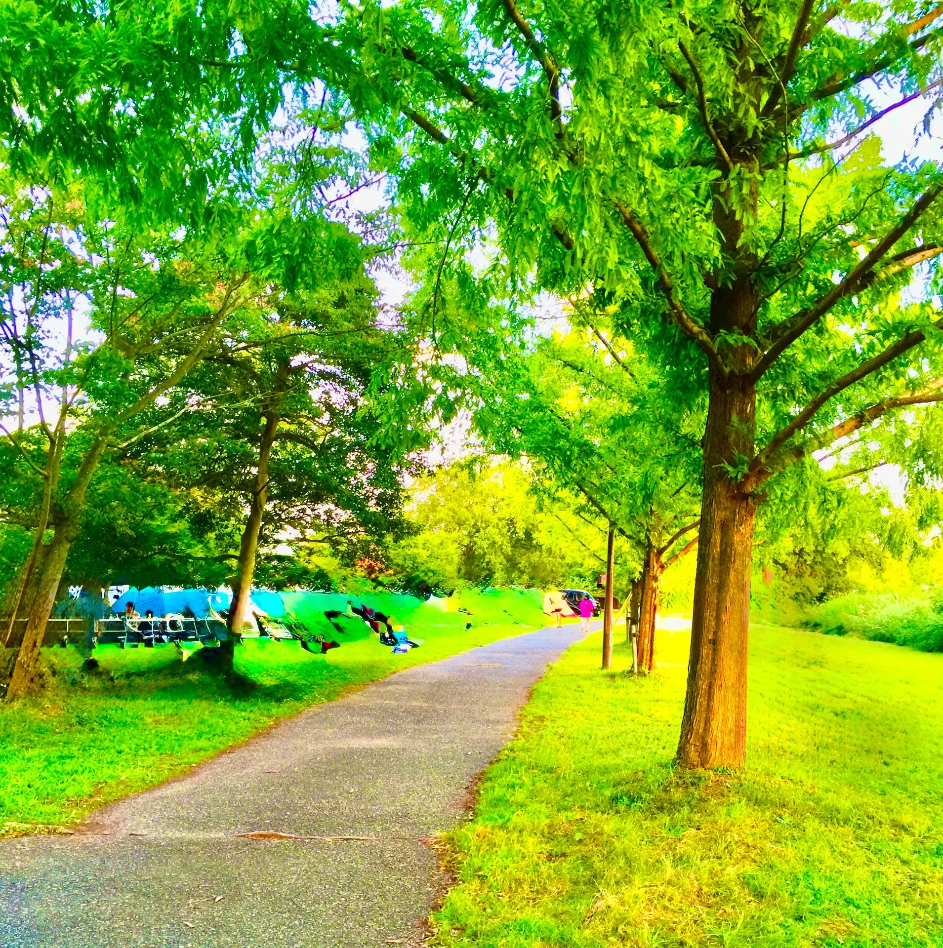 不動産仲介手数料を兵庫県神戸市で最小化する方法と費用内訳の徹底ガイド